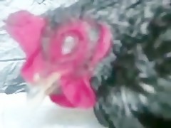 lesbian dog fun (english)