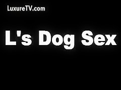 3d Hentai  girls getting fucked