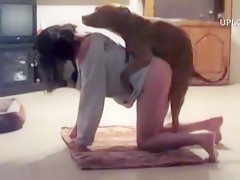 Dog licks melissa ass