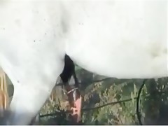 Thumb 11