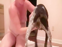 Knotty Passion Absolute