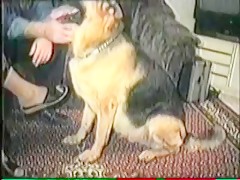 Apuntalando ese culo