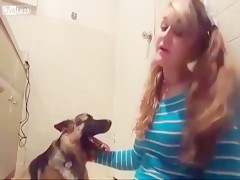 The dog´s toy