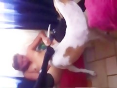 carnaval dogsex