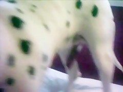 Thumb 18
