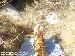 Classic Hector and Girl