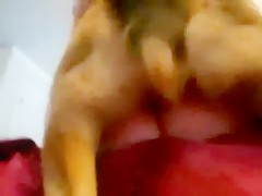 the dog hoe