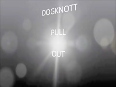 Blonde teen pigtails amazon and her horse