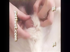 Thumb 6
