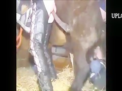 wow what a ass