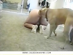 Big Butt Girl and Boxer