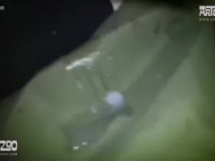 Thumb 6