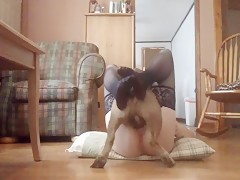 Nuestro perro es mi amante