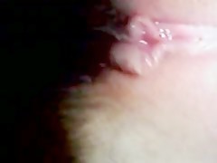 My zoo recorded