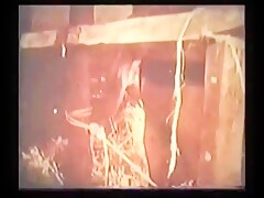 Bodil Joensen-Vintage Bull - Beast sex videos - Bestialitytaboo