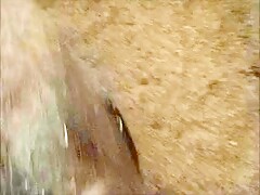 A huge pig fucks me