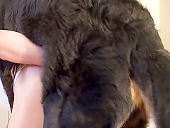 Man enjoy with dog