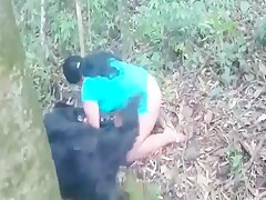 In the forest with dog