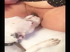 Comiendo pussy maduro