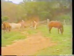 Vintage sex movie