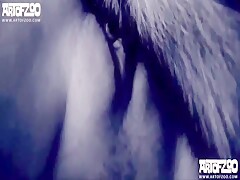 Vixen Amour ArtofZoo